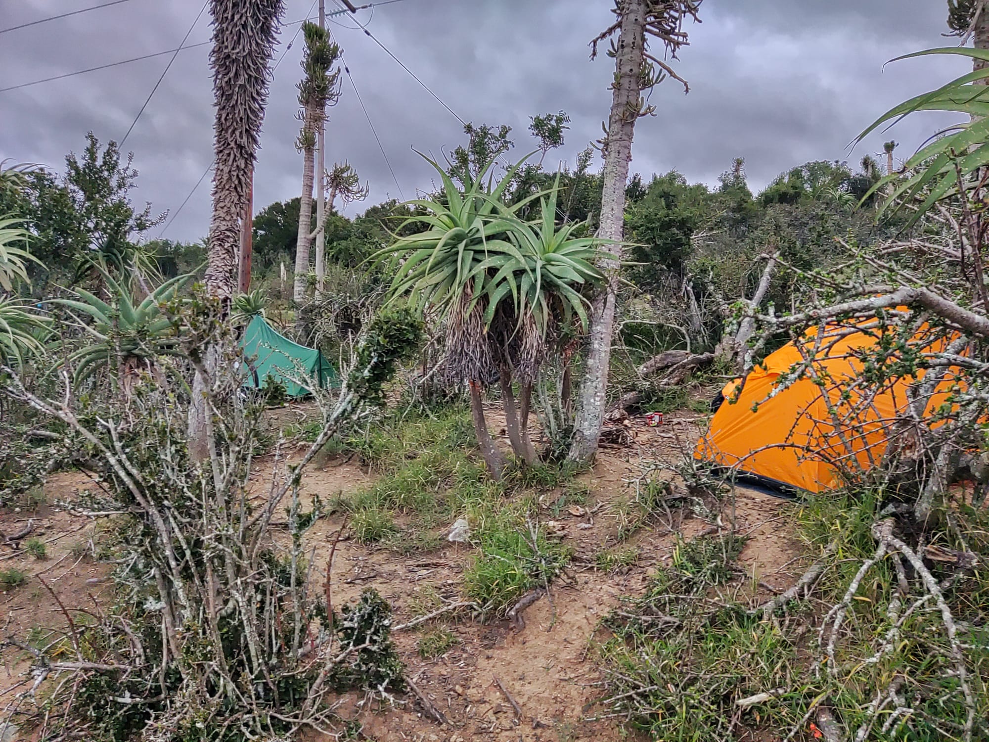 Wild camping on the side of the road in the Eastern Cape